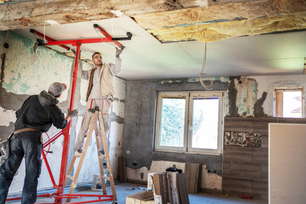 Best Specialized Insulation Services in Peculiar, MO