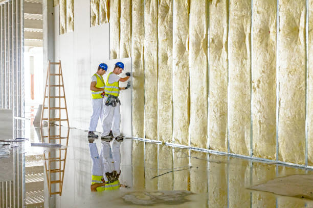 Professional Insulation Contractor in Peculiar, MO